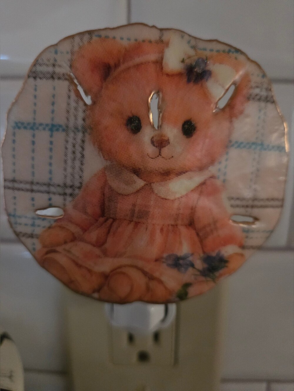 Teddy Bear Design Night Light On A Natural Sand Dollar